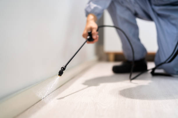 Licensed Pest Control service in Union City, OK - Show Me Pest Control