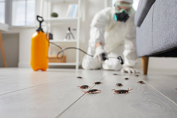 Post-Treatment Bed Bug Interceptor Monitoring in Union City