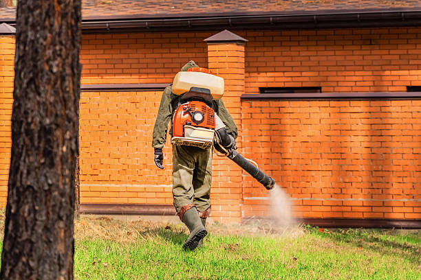 Bed Bug Clearance Verification and Documentation in Union City